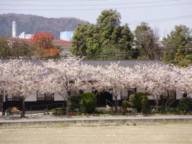 (株)大慈会「さくらの家」・看護師によるグループホーム夜勤スタッフパート・バイト求人募集(福岡県福岡市西区)