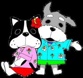 (医)陽善会坂之上病院・看護師(訪問看護・外来の兼務)(非常勤・パート)求人募集(鹿児島県鹿児島市)